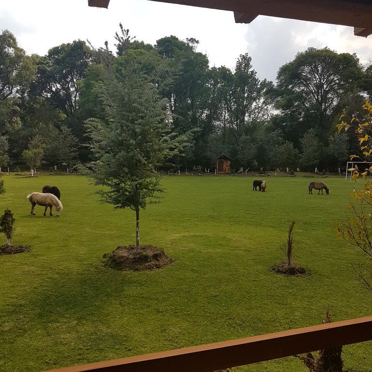 Hotel Rancho San Antonio Huasca de Ocampo Exterior foto
